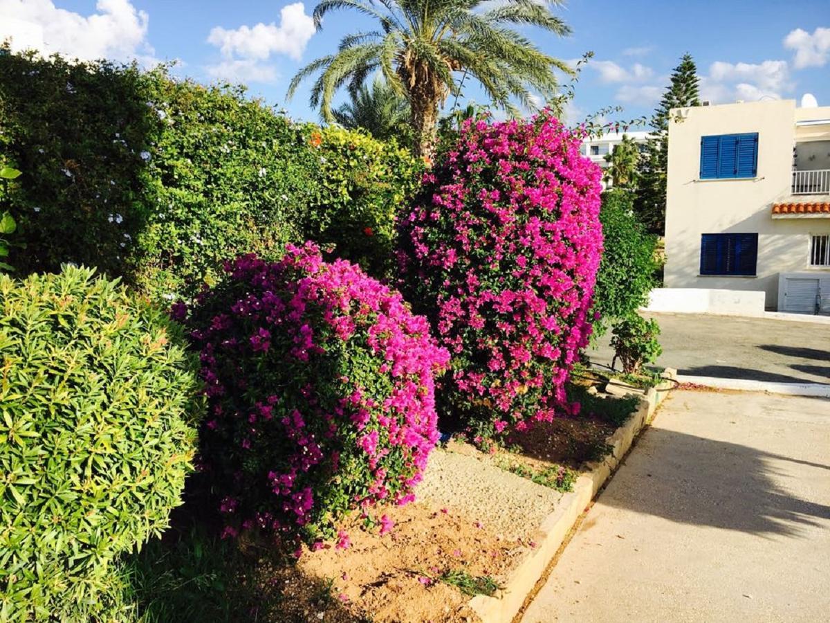 Townhouse Coral Bay Village Kissonerga Exterior foto